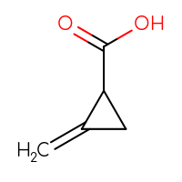 C5H6O2