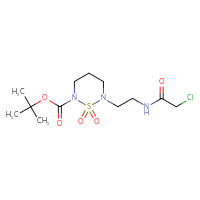 Chemical structure of tert-butyl 6-[2-(2-chloroacetamido)ethyl]-1,1-dioxo-1λ⁶,2,6-thiadiazinane-2-carboxylate - CSSB21332081033