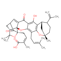 Chemical structure of (2Z)-4-[(1S,2S,8S,12S,21R)-14-hydroxy-8,23,23-trimethyl-5-(3-methylbut-2-en-1-yl)-16,20-dioxo-11-(prop-1-en-2-yl)-3,7,22-trioxaheptacyclo[17.4.1.1⁸,¹².0²,¹⁷.0²,²¹.0⁴,¹⁵.0⁶,¹³]pentacosa-4,6(13),14,17-tetraen-21-yl]-2-methylbut-2-enoic acid - CSSB14945382377