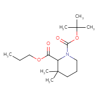 C16H29NO4