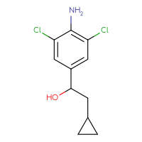 C11H13Cl2NO