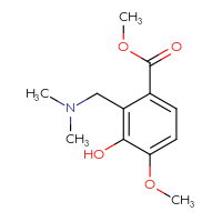 Chemical structure of methyl 2-[(dimethylamino)methyl]-3-hydroxy-4-methoxybenzoate - CSSB20572401538