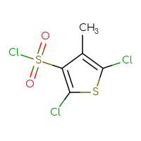 Chemical structure of 2,5-dichloro-4-methylthiophene-3-sulfonyl chloride - CSSB00134712057