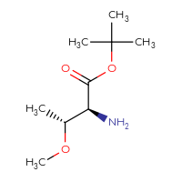 C9H19NO3