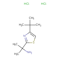 Chemical structure of 2-(4-tert-butyl-1,3-thiazol-2-yl)propan-2-amine dihydrochloride - CSSB14948178883