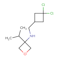 C11H19Cl2NO