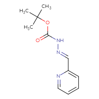 Chemical structure of N'-[(E)-(pyridin-2-yl)methylidene](tert-butoxy)carbohydrazide - CSSB00016270790