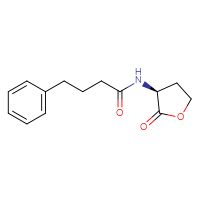 Chemical structure of N-[(3S)-2-oxooxolan-3-yl]-4-phenylbutanamide - CSSB00103766969