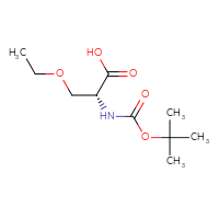 C10H19NO5