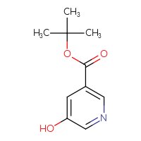 Chemical structure of tert-butyl 5-hydroxypyridine-3-carboxylate - CSSB00011942532