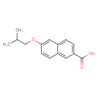 Chemical structure of 6-(2-methylpropoxy)naphthalene-2-carboxylic acid - CSSB02188623492