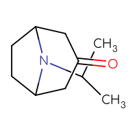 Chemical structure of 8-(propan-2-yl)-8-azabicyclo[3.2.1]octan-3-one - CSSB00000762090