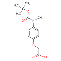 Chemical structure of 2-(4-{[(tert-butoxy)carbonyl](methyl)amino}phenoxy)acetic acid - CSSB00137423167