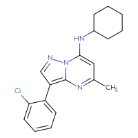 C19H21ClN4