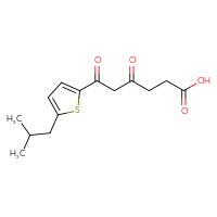 Chemical structure of 6-[5-(2-methylpropyl)thiophen-2-yl]-4,6-dioxohexanoic acid - CSSB21432500483