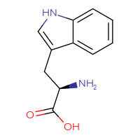 Chemical structure of (2R)-2-amino-3-(1H-indol-3-yl)propanoic acid - CSSB00000744309