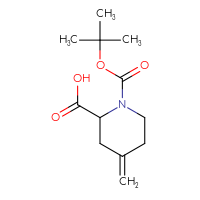 C12H19NO4