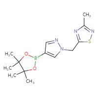 Chemical structure of 3-methyl-5-{[4-(4,4,5,5-tetramethyl-1,3,2-dioxaborolan-2-yl)-1H-pyrazol-1-yl]methyl}-1,2,4-thiadiazole - CSSB00156650914