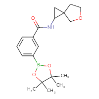 Chemical structure of N-{5-oxaspiro[2.4]heptan-1-yl}-3-(4,4,5,5-tetramethyl-1,3,2-dioxaborolan-2-yl)benzamide - CSSB02229499364