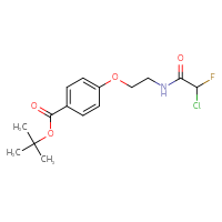 Chemical structure of tert-butyl 4-[2-(2-chloro-2-fluoroacetamido)ethoxy]benzoate - CSSB21332116476