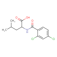Chemical structure of 2-[(2,4-dichlorophenyl)formamido]-4-methylpentanoic acid - CSSB00000595176