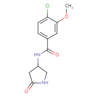 Chemical structure of 4-chloro-3-methoxy-N-(5-oxopyrrolidin-3-yl)benzamide - CSSB02005615797