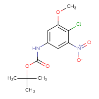 Chemical structure of tert-butyl N-(4-chloro-3-methoxy-5-nitrophenyl)carbamate - CSSB21408708211