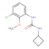 Chemical structure of 1-(3-chloro-2-methoxyphenyl)-3-cyclobutylurea - CSSB00092427045