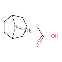 C10H17NO2