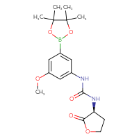 Chemical structure of 1-[3-methoxy-5-(4,4,5,5-tetramethyl-1,3,2-dioxaborolan-2-yl)phenyl]-3-[(3S)-2-oxooxolan-3-yl]urea - CSSB21332156296