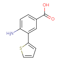 Chemical structure of 4-amino-3-(thiophen-2-yl)benzoic acid - CSSB00010304207