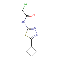 Chemical structure of 2-chloro-N-(5-cyclobutyl-1,3,4-thiadiazol-2-yl)acetamide - CSSB00000057621