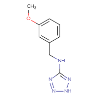 Chemical structure of N-[(3-methoxyphenyl)methyl]-2H-1,2,3,4-tetrazol-5-amine - CSSB00000019652