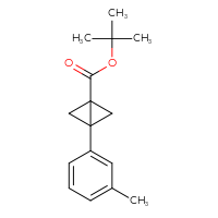 Chemical structure of tert-butyl 3-(3-methylphenyl)bicyclo[1.1.0]butane-1-carboxylate - CSSB15013004390
