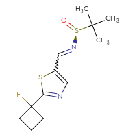 Chemical structure of (S)-N-{[2-(1-fluorocyclobutyl)-1,3-thiazol-5-yl]methylidene}-2-methylpropane-2-sulfinamide - CSSB15006127204