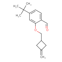 Chemical structure of 4-tert-butyl-2-[(3-methylidenecyclobutyl)methoxy]benzaldehyde - CSSB20466358345