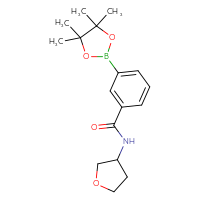 Chemical structure of N-(oxolan-3-yl)-3-(4,4,5,5-tetramethyl-1,3,2-dioxaborolan-2-yl)benzamide - CSSB02166475401