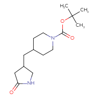 Chemical structure of tert-butyl 4-[(5-oxopyrrolidin-3-yl)methyl]piperidine-1-carboxylate - CSSB00137465690