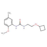 Chemical structure of 3-(2-cyclobutoxyethyl)-1-(2-methoxy-5-methylphenyl)urea - CSSB02027930664