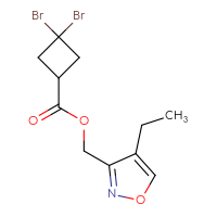 C11H13Br2NO3
