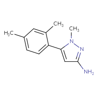 Chemical structure of 5-(2,4-dimethylphenyl)-1-methyl-1H-pyrazol-3-amine - CSSB00010310479