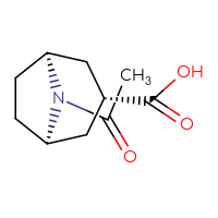 Chemical structure of (1R,3S,5S)-8-acetyl-8-azabicyclo[3.2.1]octane-3-carboxylic acid - CSSB01102244941