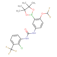 Chemical structure of 1-[2-chloro-3-(trifluoromethyl)phenyl]-3-[4-(difluoromethoxy)-3-(4,4,5,5-tetramethyl-1,3,2-dioxaborolan-2-yl)phenyl]urea - CSSB21332175666