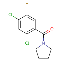 Chemical structure of 1-(2,4-dichloro-5-fluorobenzoyl)pyrrolidine - CSSB00000269990