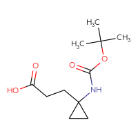 C11H19NO4