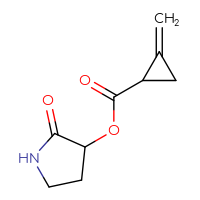 C9H11NO3