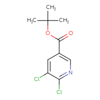 C10H11Cl2NO2
