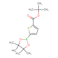 Chemical structure of tert-butyl 5-(4,4,5,5-tetramethyl-1,3,2-dioxaborolan-2-yl)thiophene-2-carboxylate - CSSB00010193478