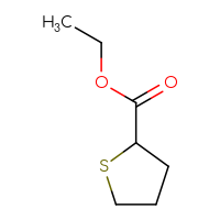 Chemical structure of ethyl thiolane-2-carboxylate - CSSB00012019183