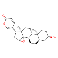 C24H32O4